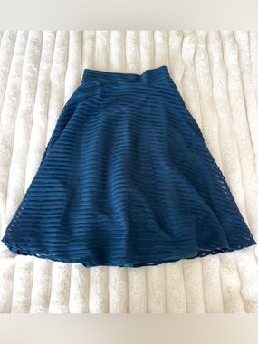 Blue Textured Mesh Stripes A-Line Skirt